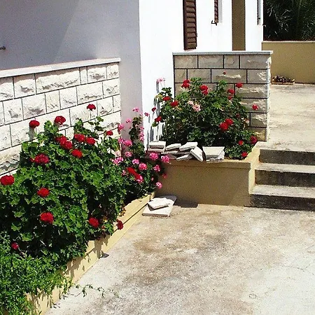 Apartment 454a Sali